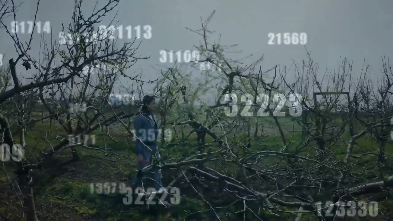 Woman walking orchard dodging branches, motion spawning expanding numeric strings mapping farm data