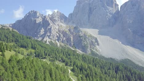 Drohne-über-Wald-Und-Alpen-Im-Hintergrund