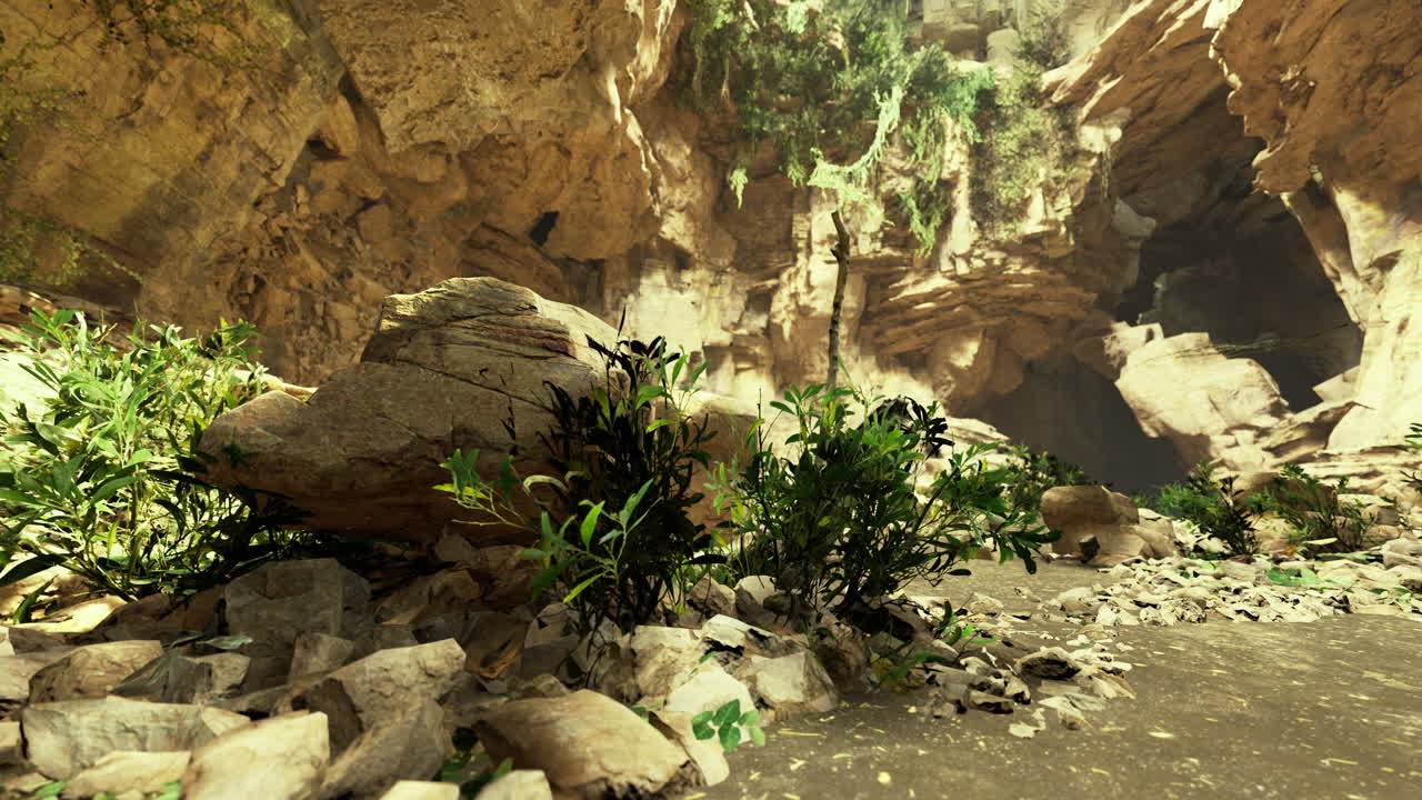 Exploring a sun drenched canyon with lush greenery and hidden wonders