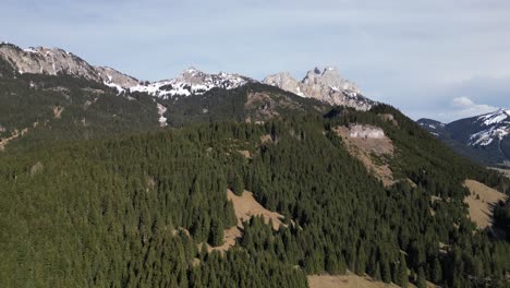 Drone-clip-over-alpine-forests-and-tall-snow-topped-mountains-in-Switzerland