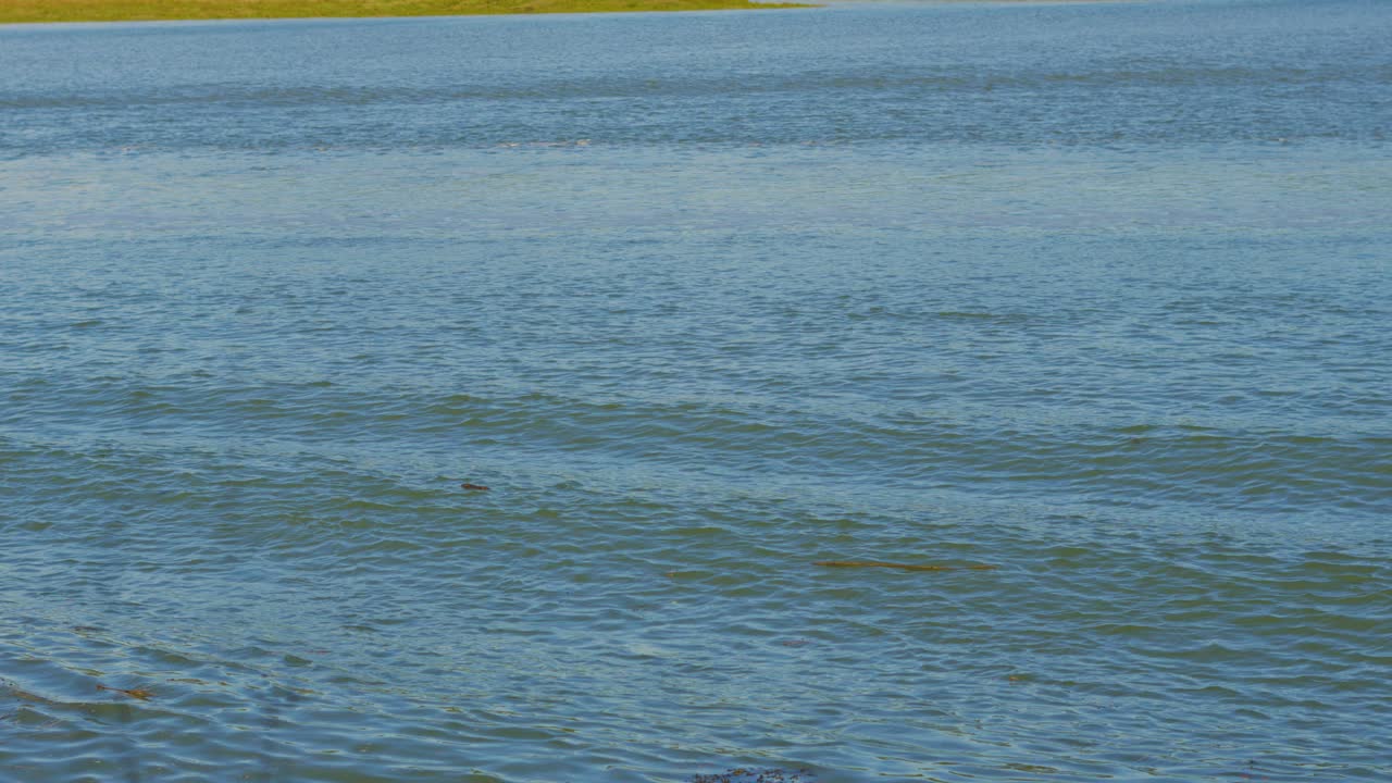 Rolling Small Waves Gently Rolling Along Calm Water