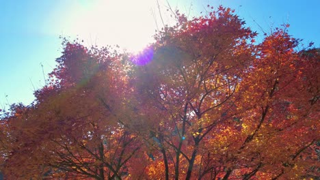 Mount Takao Day Trip: Explore Tokyo&#039;s Favorite Mountain