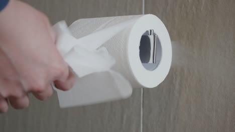 hand pulls toilet paper roll in the bathroom