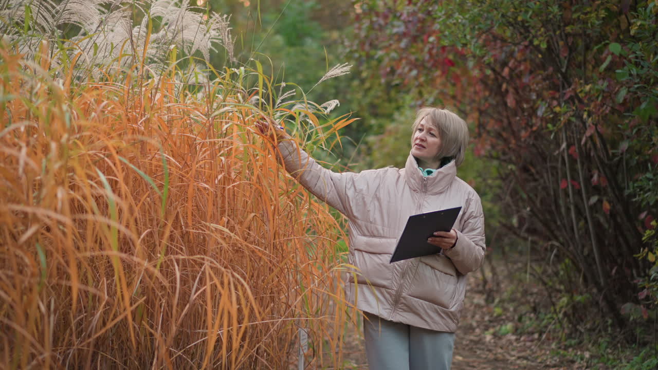 mature woman in light jacket gently glides hand across tall orange grass while holding clipboard, examining plant closely while walking along dirt trail surrounded