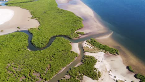 river flowing into the salty mangroves of senegal, atlantic ocean.