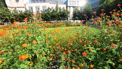 flowers blooming in a garden near st. paul's cathedral