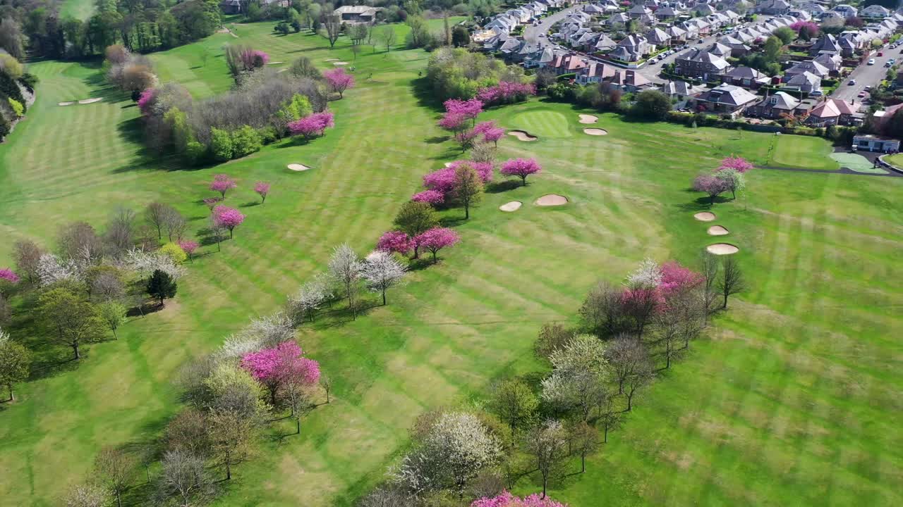 나무에 벚꽃이 만발한 도시 한복판의 잘 손질된 골프 코스 위로 공중 촬영 | 스코틀랜드 에든버러 | 30fps에서 4k로 촬영
