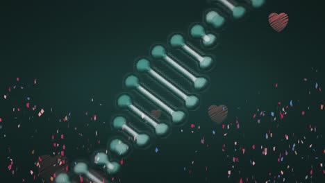 Digitale-Animation-Von-Konfetti,-Das-über-Eine-Sich-Drehende-DNA-Struktur-Fällt,-Vor-Fallenden-Roten-Herzsymbolen