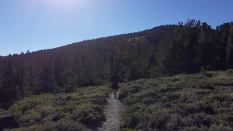 follow shot of a hiker walking along a trail towards the forest on a sunny day