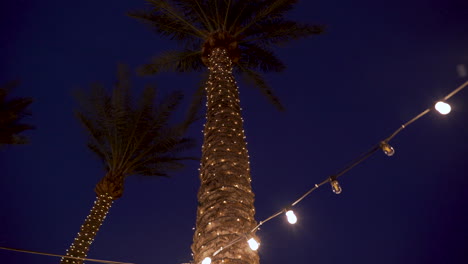 Palmas-De-La-Fiesta-De-Navidad-En-La-Noche-En-Hawaii-Para-Un-Luau-Con-Luces-De-Navidad