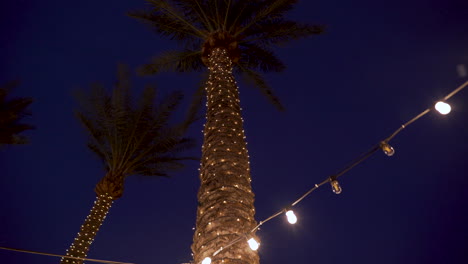 palmas de fiesta de navidad por la noche en hawai para un luau con luces de navidad