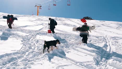 slow motion: snow boarders walking up the mountain. camera moving slowly behind group of snowboarder walking up the mountain