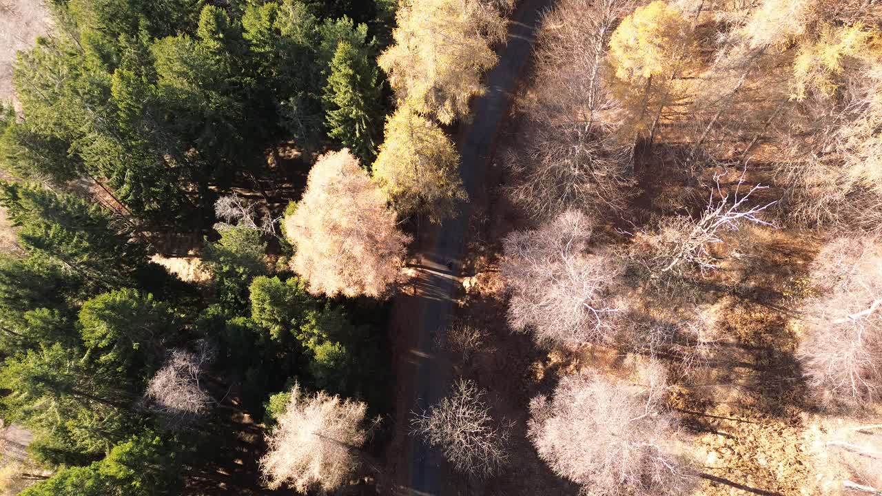puzzle shots. this is the story of a digital traveler, a seeker of panoramas with his drone and this time he went to the forest, with dry leaves and autumn smells that