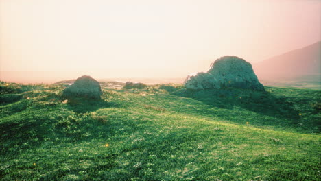 prado alpino con rocas y hierba verde