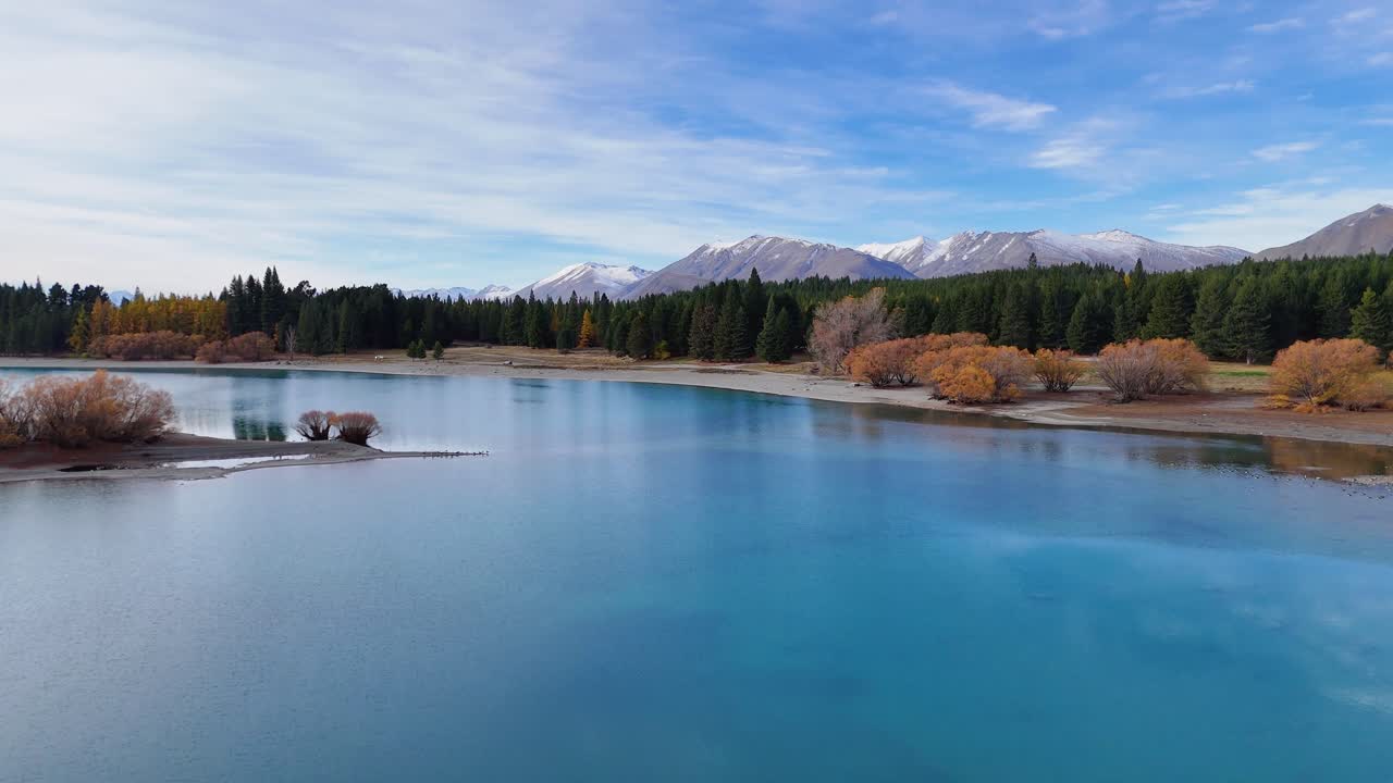 Drone footage captures Lake Tekapo's serene waters and vibrant autumn foliage under clear skies, showcasing New Zealand's natural beauty