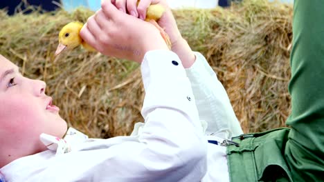 village, stylishly dressed cute boy playing with ducklings and chickens, studio video with thematic decor. in the background a haystack, colored bird houses, and flowers