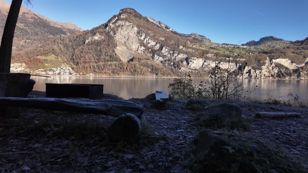 Dog pet cream fur outdoor lakeside Walensee lake Switzerland labradoodle breed animal in nature