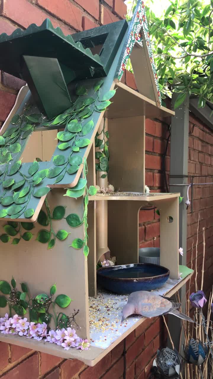 Dove eating seeds from a custom made birdhouse in a residential area