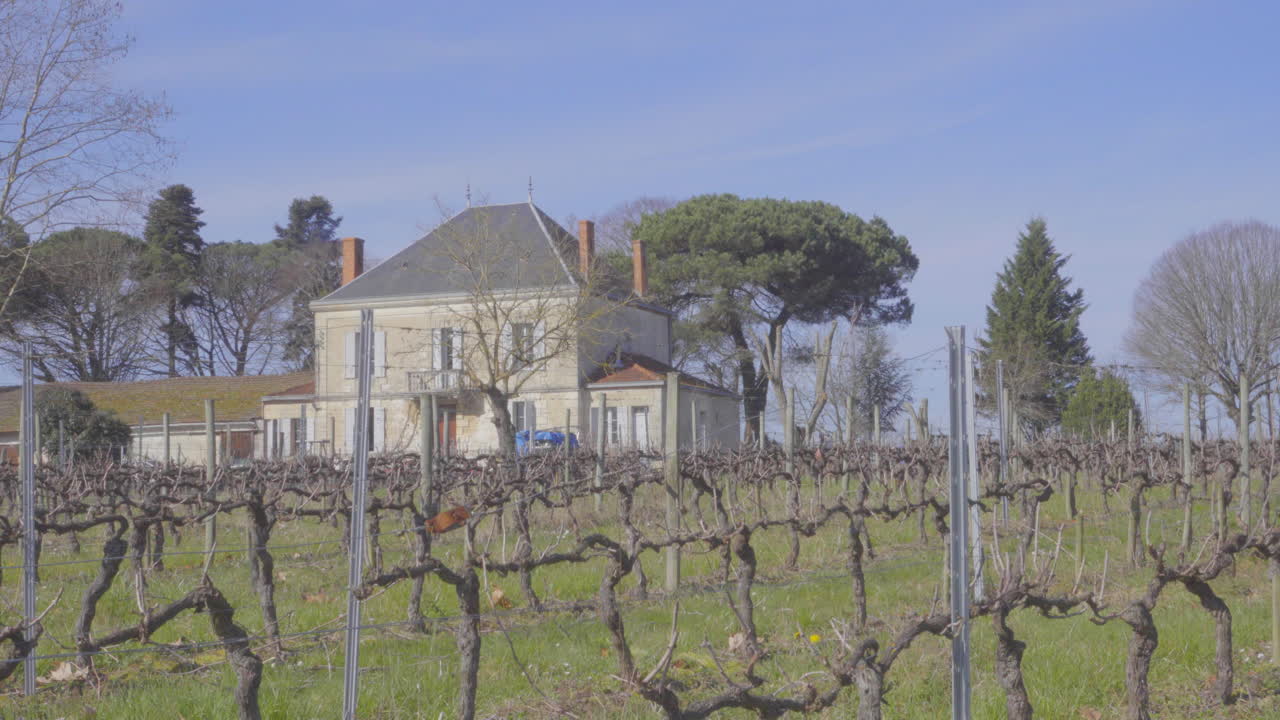 Vigneto francese invernale con casa sullo sfondo
