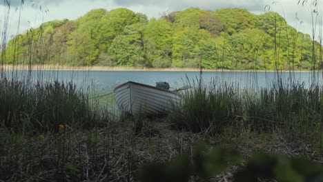 Lake-boat-beached-on-island-shoreline-wilderness-MID-SHOT