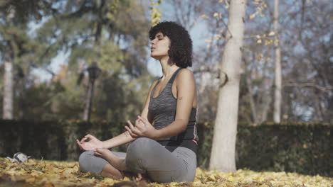 Verbindung-Zu-Gott-Meditierendes-Yoga,-Das-Allein-Praktiziert