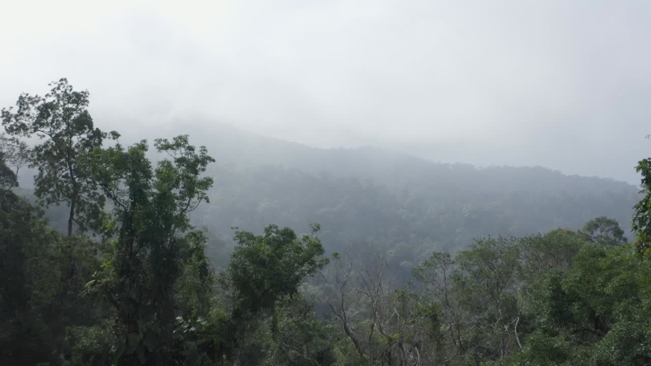 hermosa foto de seguimiento, paisaje, árboles, bosque, nubes en el desierto de malasia