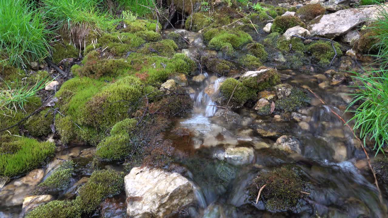 Air Jernih Mengalir di Atas Batu Berlumut di Aliran Hutan.