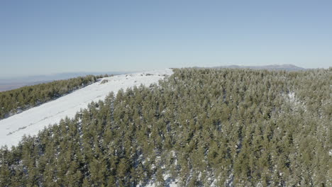 Panorama-A-Través-De-Montañas-Llenas-De-Nieve-Llenas-De-Hermosos-Pinos-Verdes-Y-Cielo-Azul