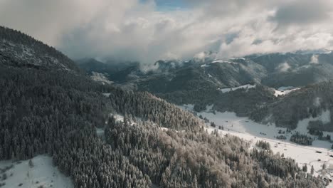 Mountain-valley-forest-snowy-landscape-with-snow,-sunlight-and-blue-sky