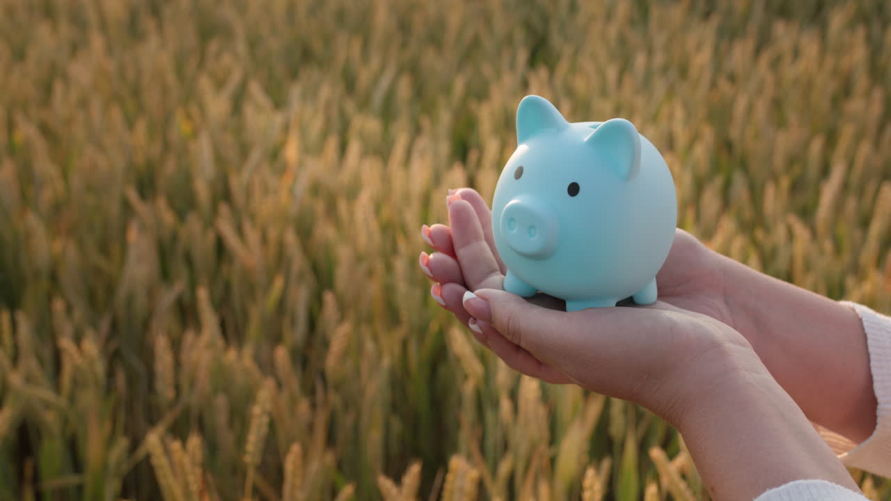 l'agricoltore tiene in mano un porcellino contro lo sfondo di un campo di grano