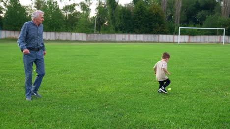 grandpa and little grandson run happily by the green lawn. man and small boy play with a ball.