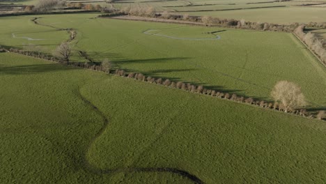 Grasfeld-Wasserhecke-Welland-Valley-Leicestershire-England-Luftaufnahme