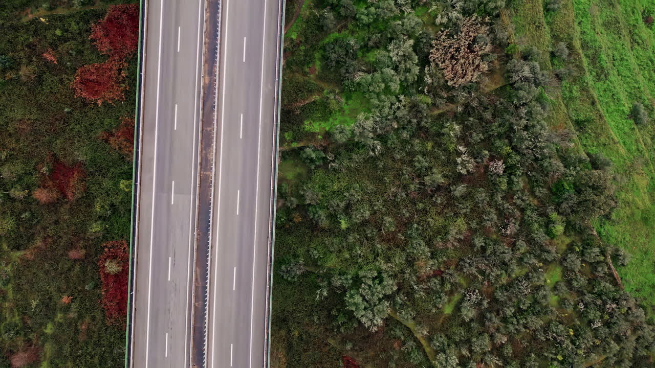 Strada asfaltata che attraversa campi verdi. Ripresa aerea di un'autostrada rettilinea