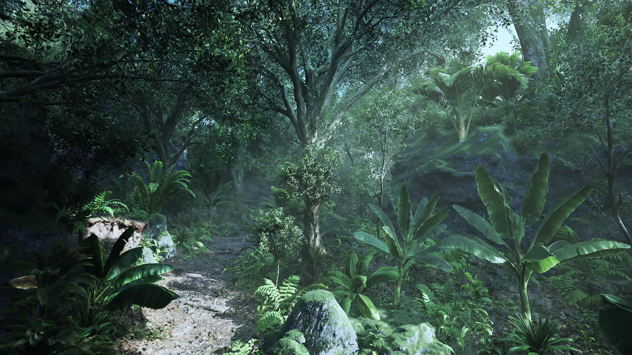 Tropical forest path with dense greenery and soft sunlight filtering