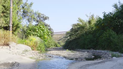 una corriente tranquila fluye a través de la vegetación vibrante, sutilmente interrumpida por la presencia de una cerca fronteriza distante la armonía de la naturaleza se encuentra con la intervención humana