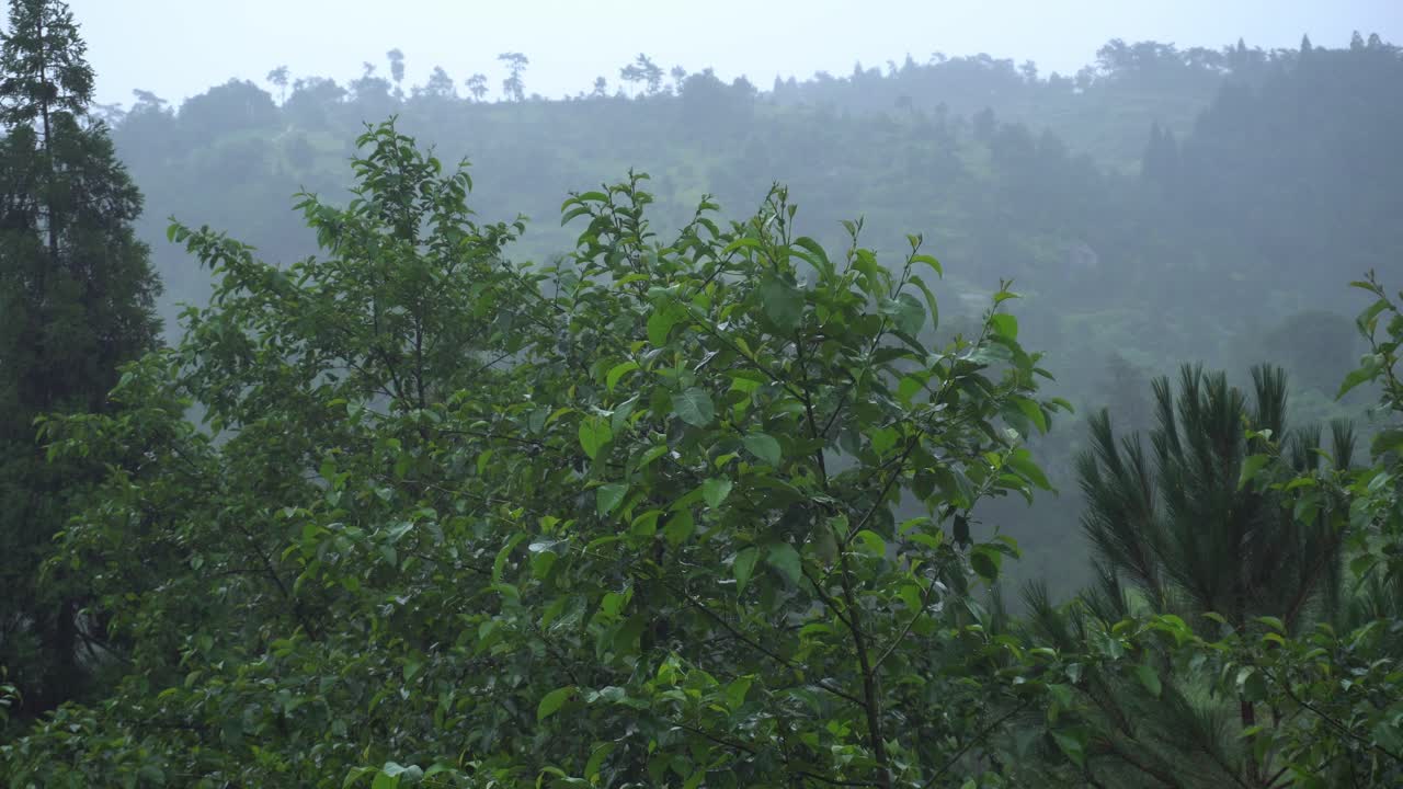 Meghalayn sade metsäisillä tai mäkisillä alueilla.