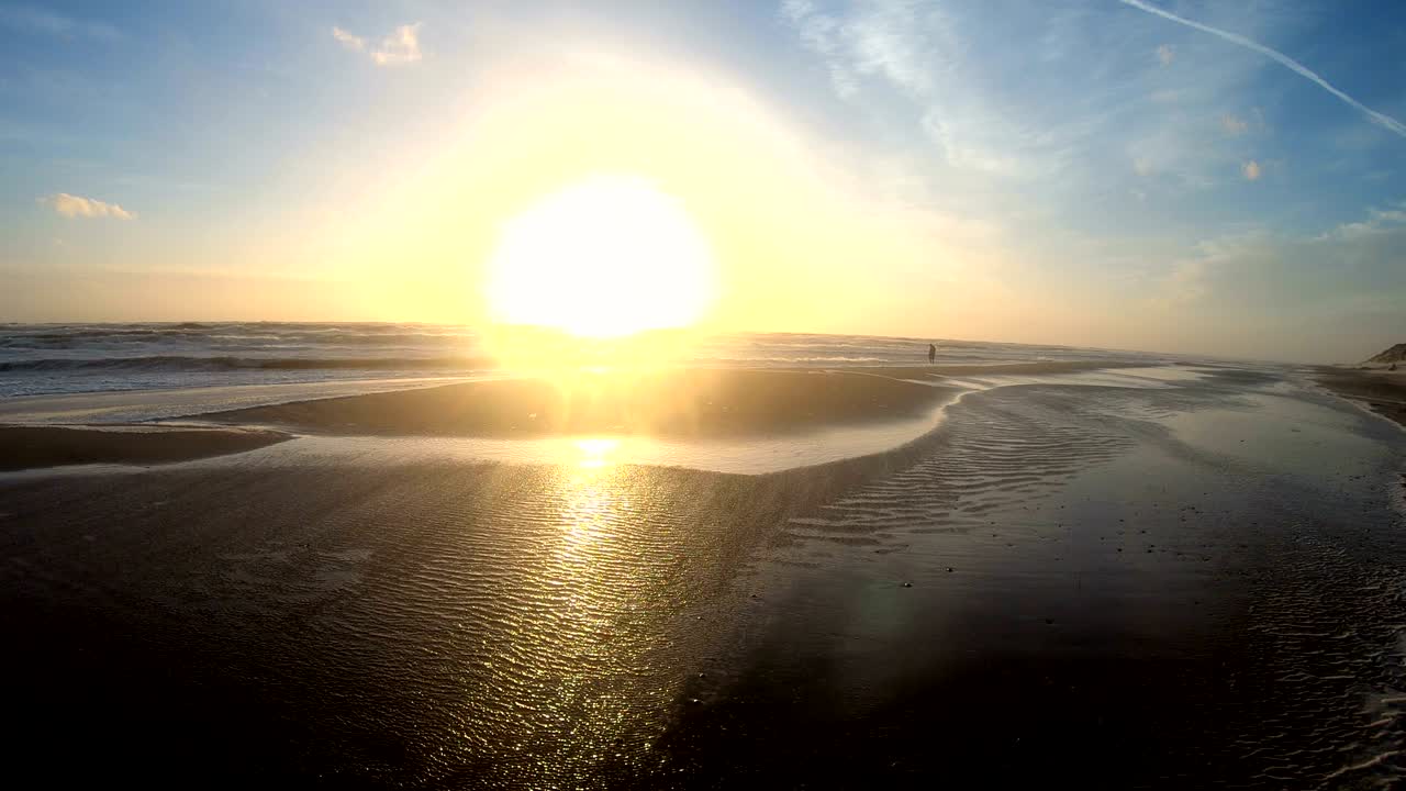 해변에서 폭풍의 해조류, 파도와 함께 모래 해변에서 외로운 남자, 북해, jütland, sondervig, 덴마크, 4k