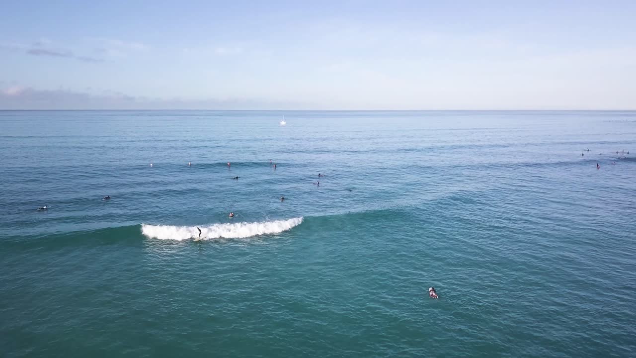 surfistas lejos en el fondo montando olas en la playa de waikiki en honolulu hawaii en aguas turquesas, inclinación aérea dollr