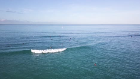 surfistas lejos en el fondo montando olas en la playa de waikiki en honolulu hawaii en aguas turquesas, inclinación aérea dollr