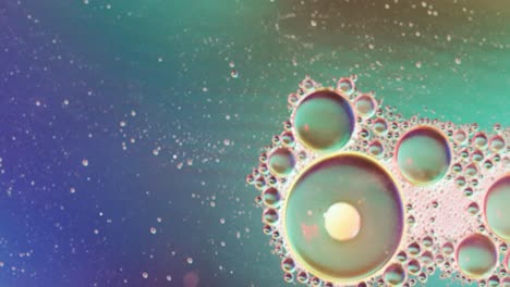 animation of bubbles moving on blue background with copy space