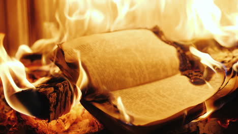 the book burns in the fire of the fireplace