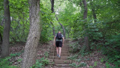 male hiker walking up the wooden stairs in the forest in summer wide angle shot