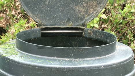 compost container