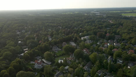 aerial of large houses in a rich and green neighborhood
