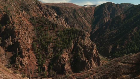 Bäume-In-Den-Bergen-Des-Black-Canyon-Des-Gunnison-Nationalparks-Im-Westen-Colorados,-USA