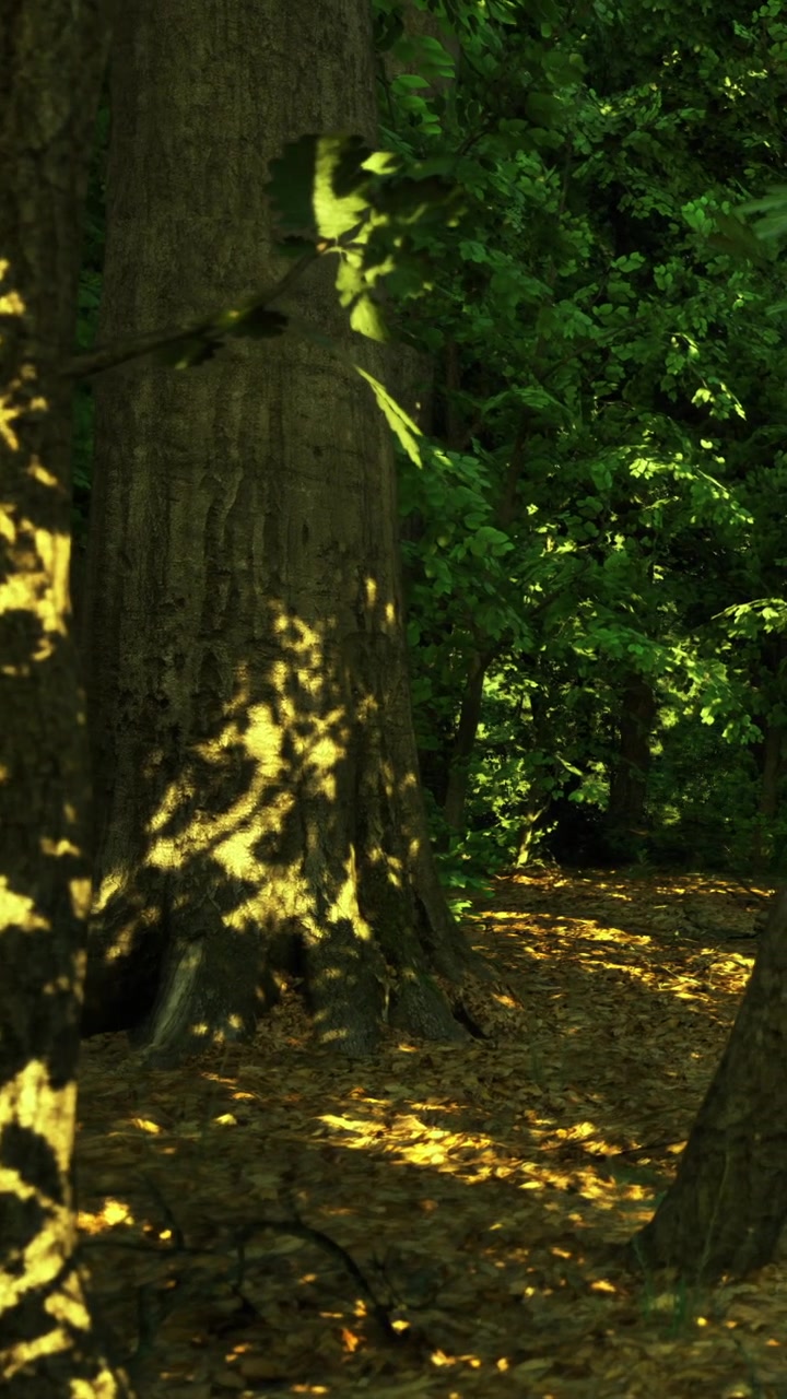 Giochi di luce illuminano un tronco d'albero in una foresta durante le ore diurne