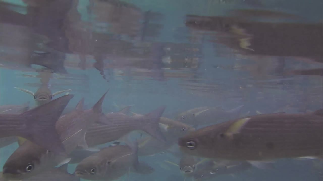 지하 물 재고 영상