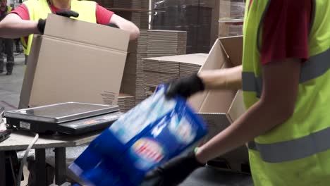 factory workers packaging cardboard boxes