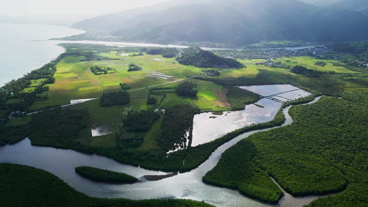 Preserved Environment Of The Batalay Mangrove Eco Park In Bato, Catanduanes, Philippines. Aerial Drone Shot