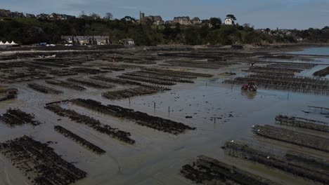 Luftaufnahmen-Einer-Großen-Austernfarm-(Terrain-De-Culture-D&#39;huîtres)-In-4K-Drohnentechnik-Am-Strand-Von-Cancele,-Bretagne,-Frankreich